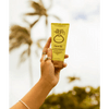 Sun Bum Original SPF 50 Sunscreen Face Lotion - OrtegaOutdoors
