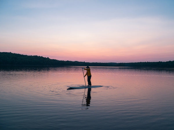 Paddling with Wildlife: A Guide to Ethical and Safe Animal Encounters on the Water - Ortega Outdoors